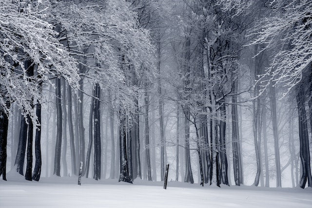 5 Evidence-Based Practices to Beat the Winter Blues