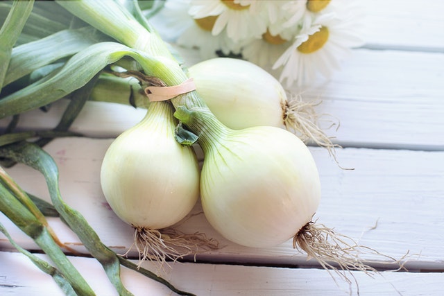 7 Kitchen Essentials You Need for Gut Health